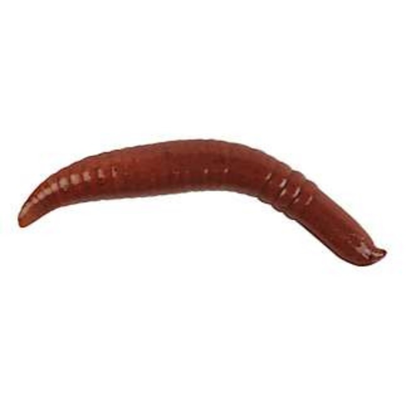 Berkley Gulp! Freshwater Floating Pinched Crawler – Nightcrawler